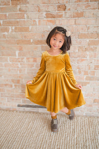Gwendolyn Dress in Golden Velvet